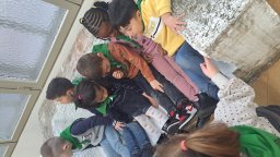 visite bozar 8